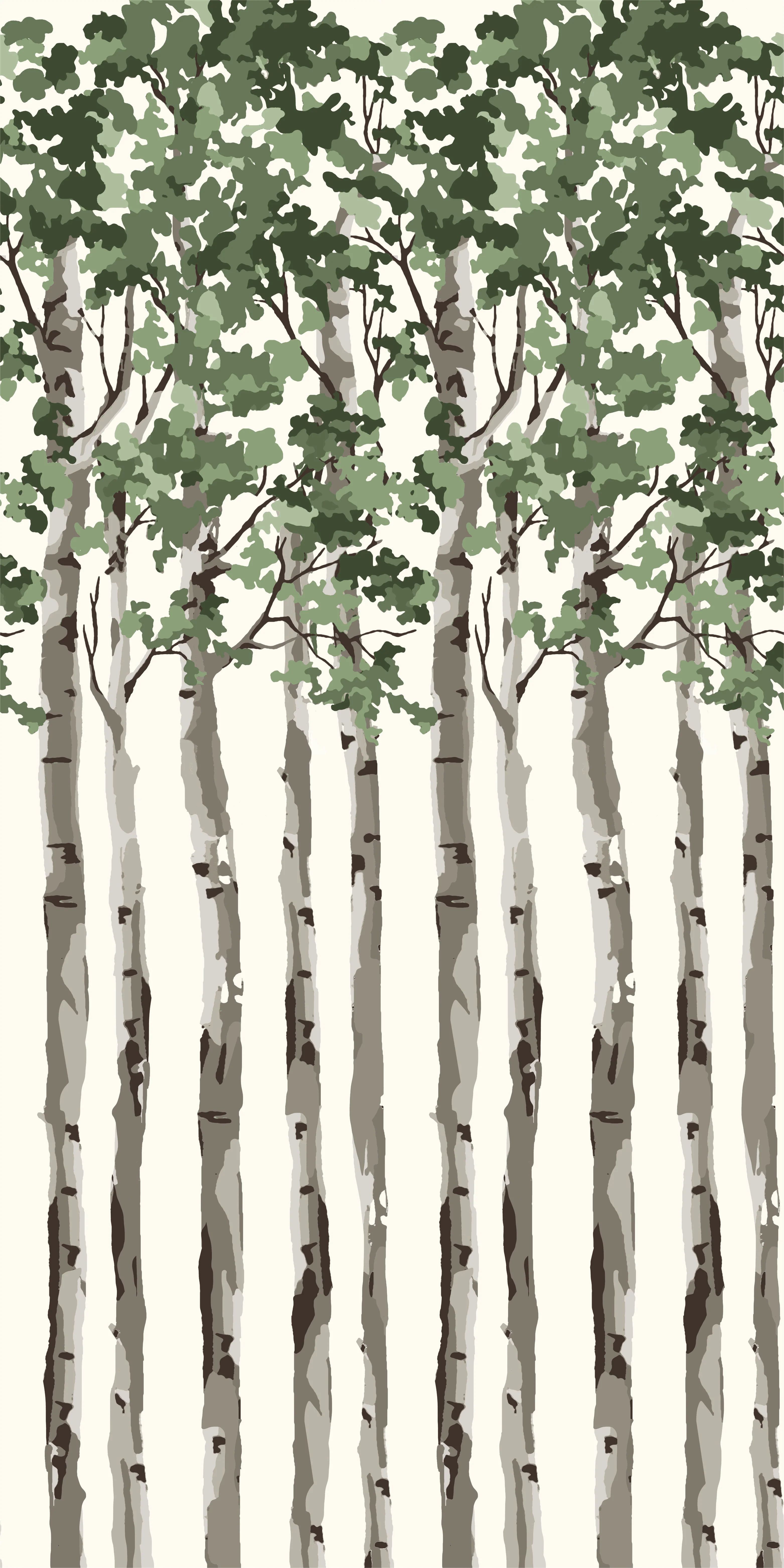 Birch Tree | Chasing Paper
