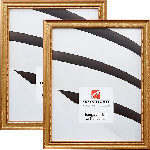 Craig Frames 314GD 11 x 14 Inch Picture Frame, Ornate Gold, Set of 2 | Amazon (US)