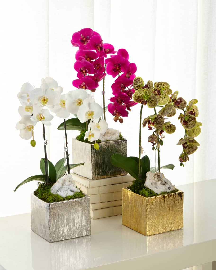 T&C Floral Company Orchids in Square Containers | Neiman Marcus