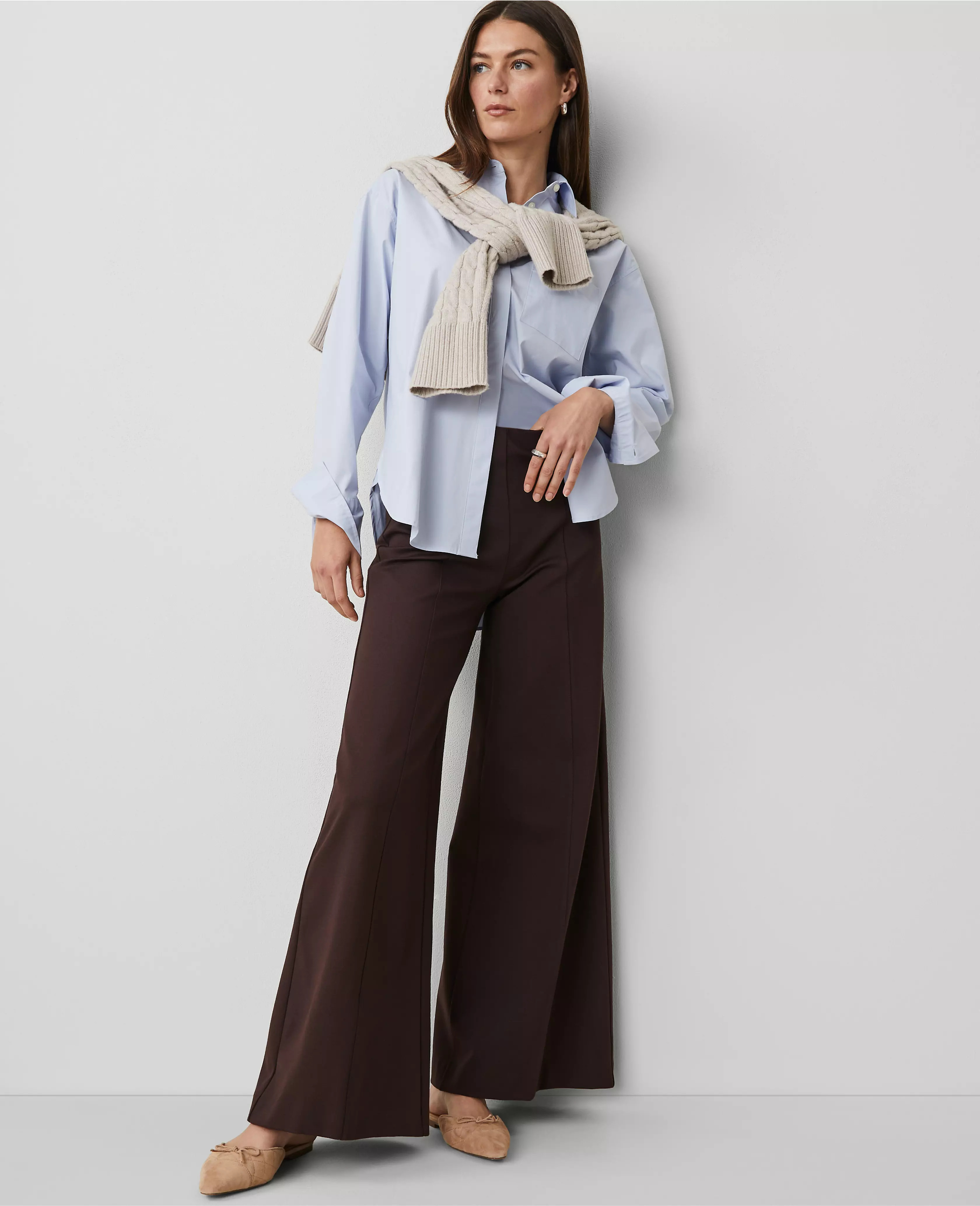 The Petite Ultimate Wide-Leg Pant | Ann Taylor (US)