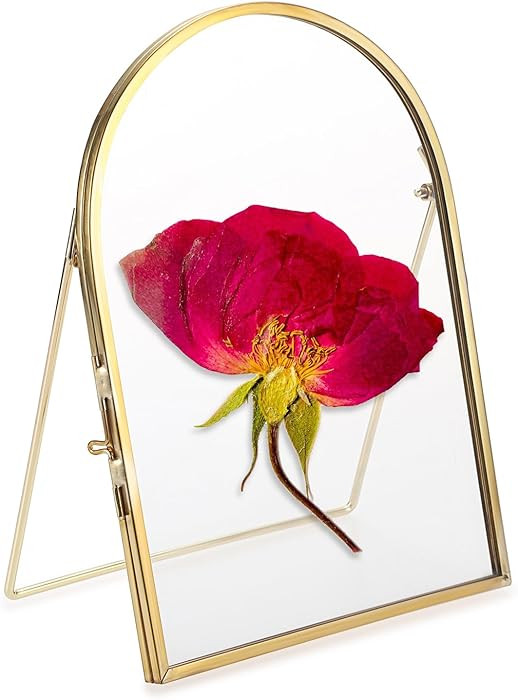 Tabletop Double Glass Brass Frame for Pressed Flowers, Arch Double Sided Glass Frame Gold Floatin... | Amazon (US)