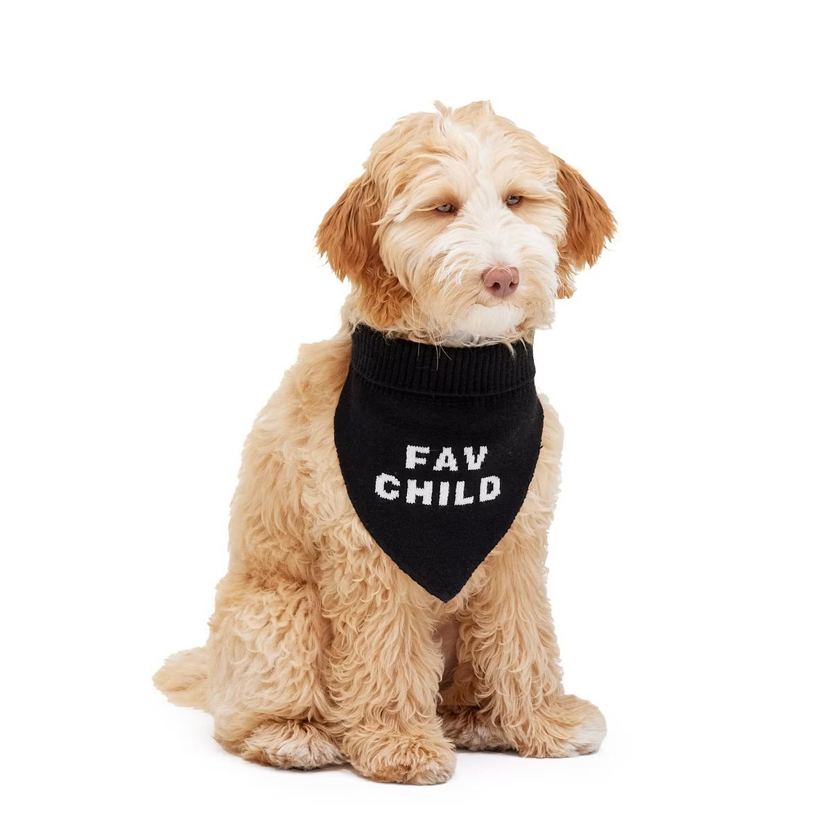 "Fav Child" Sweater Dog and Cat Bandana - Black - The Cuddle Collab | Target