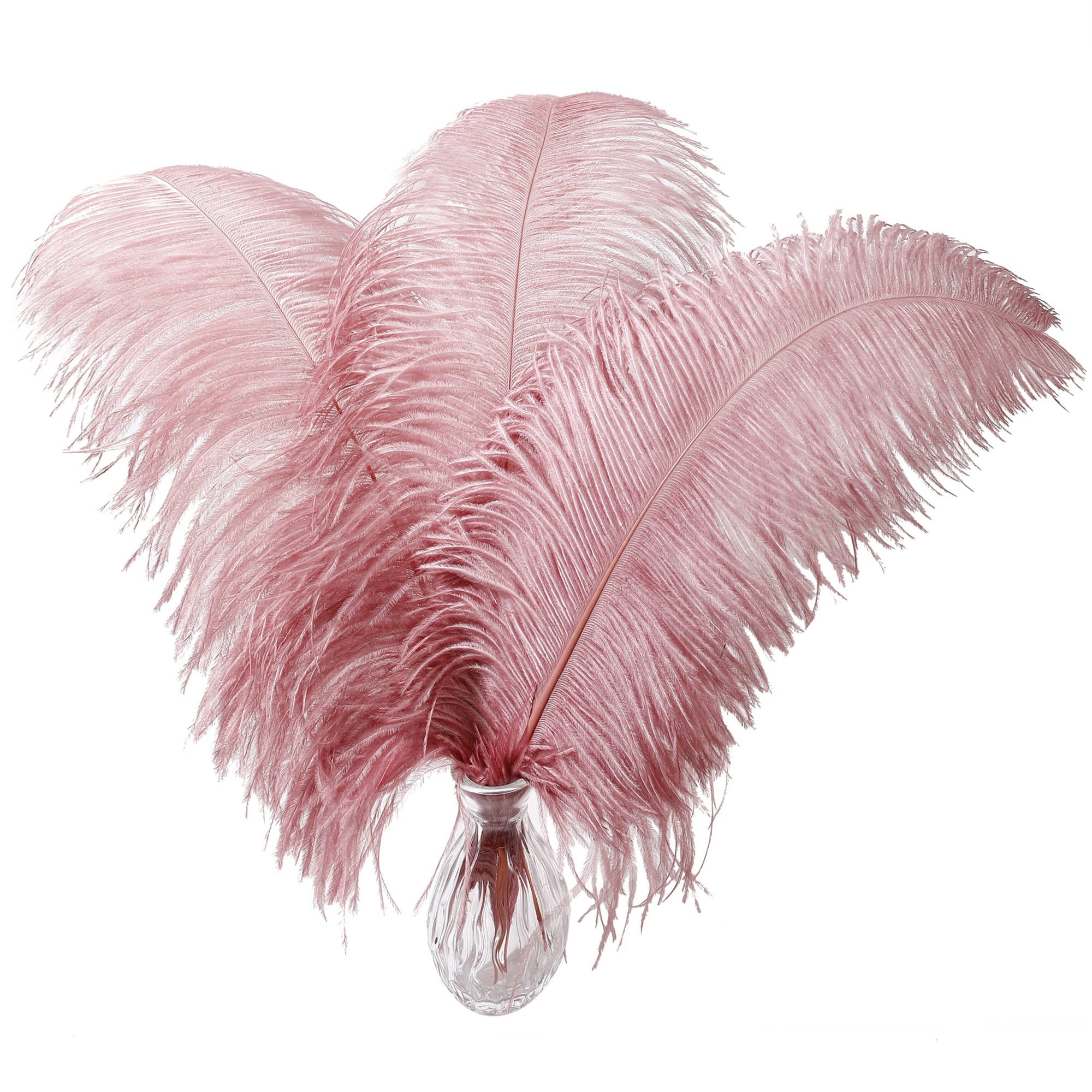 Larryhot Pink Ostrich Feathers Bulk- 16-18 inch 10pcs Feathers for Cfafts,Wedding Party Centerpie... | Amazon (US)