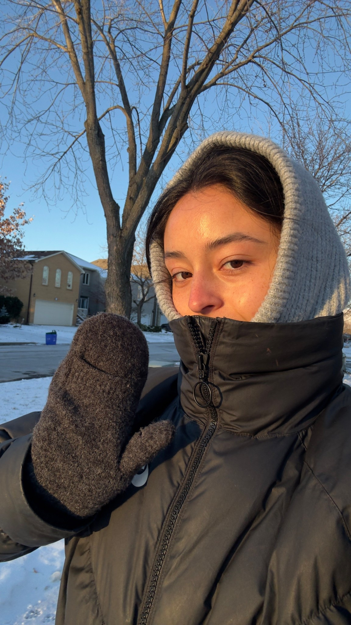 linked a similar balaclavaa

#LTKcanada #LTKstyletip #LTKwinter