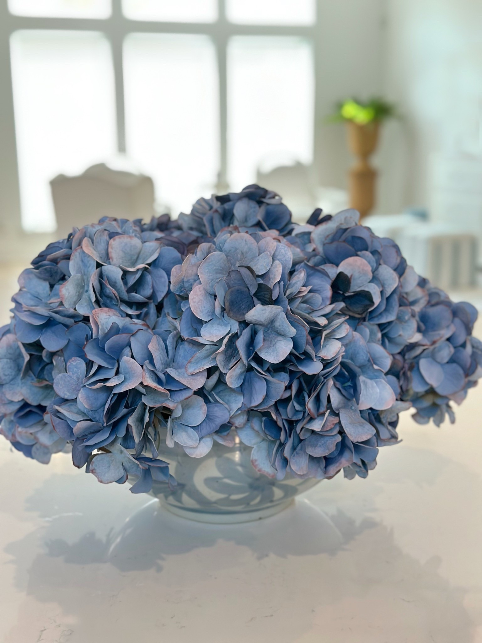 Dusty blue hydrangeas on sale $4! #falldecor

#LTKSaleAlert #LTKHome #LTKFindsUnder50