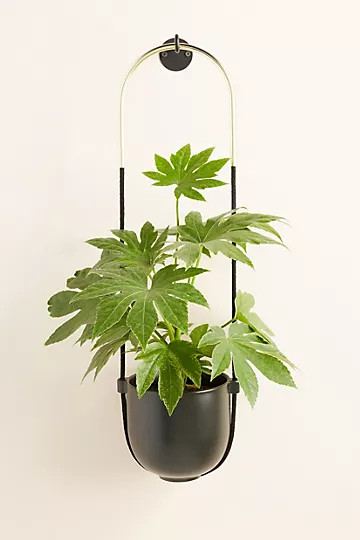 Bolo Hanging Planter | Anthropologie (US)