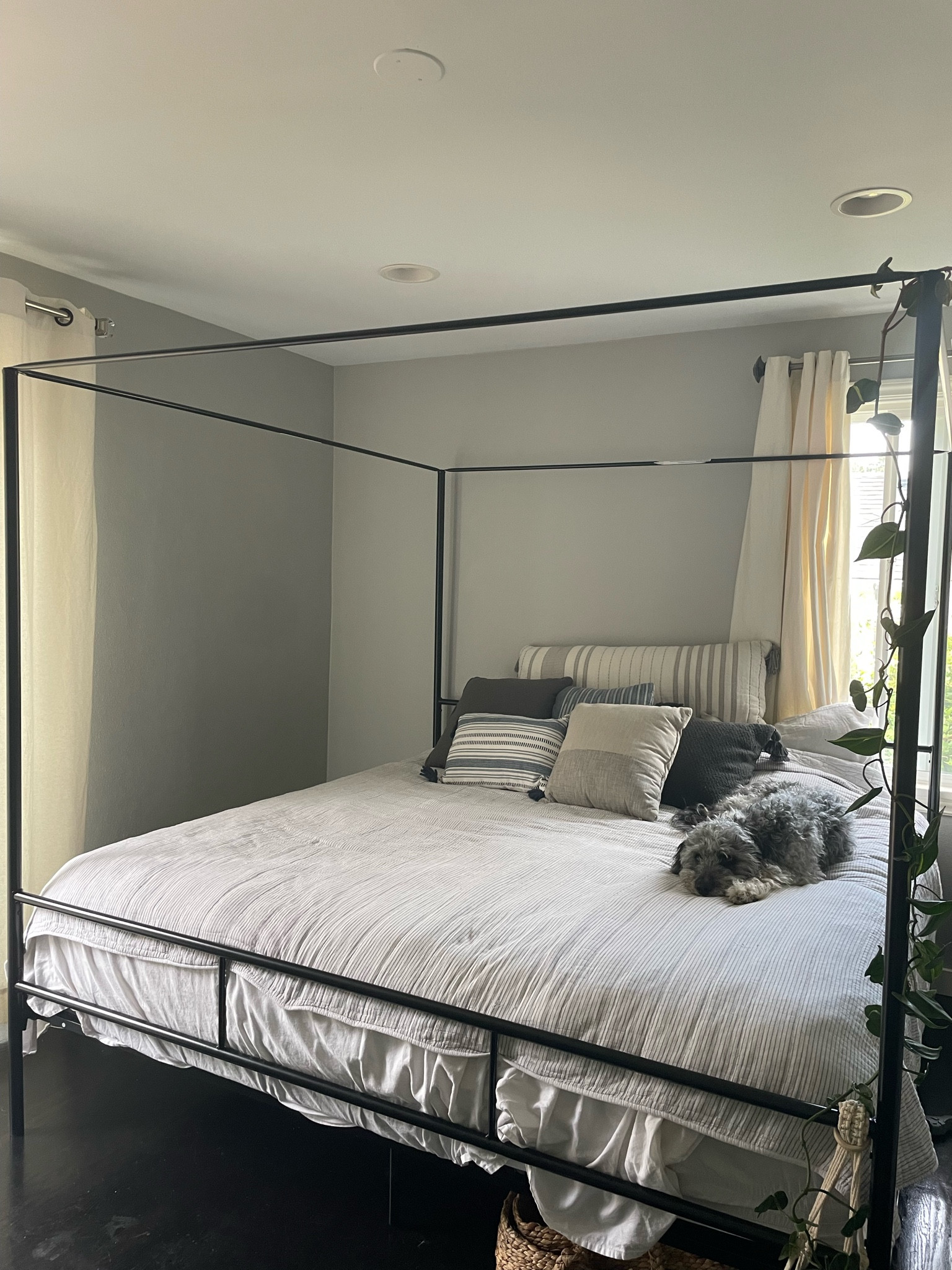 Canopy bed 💙

#LTKhome