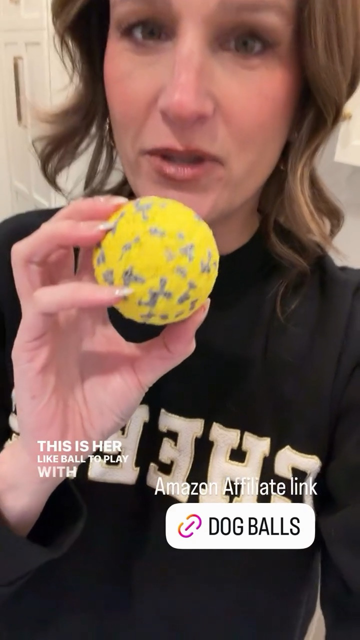 These dog balls are indestructible. 

#LTKHome #LTKFindsUnder50 #LTKGiftGuide