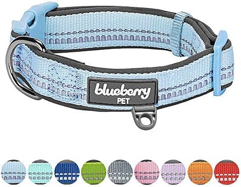 Blueberry Pet 9 Colors Soft & Safe 3M Reflective Pastel Color Neoprene Padded Dog Collars, Harnes... | Amazon (US)