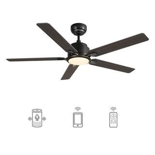 CARRO Essex 52 in. Integrated LED Indoor/Outdoor Black Smart Ceiling Fan with Light and Remote, W... | The Home Depot