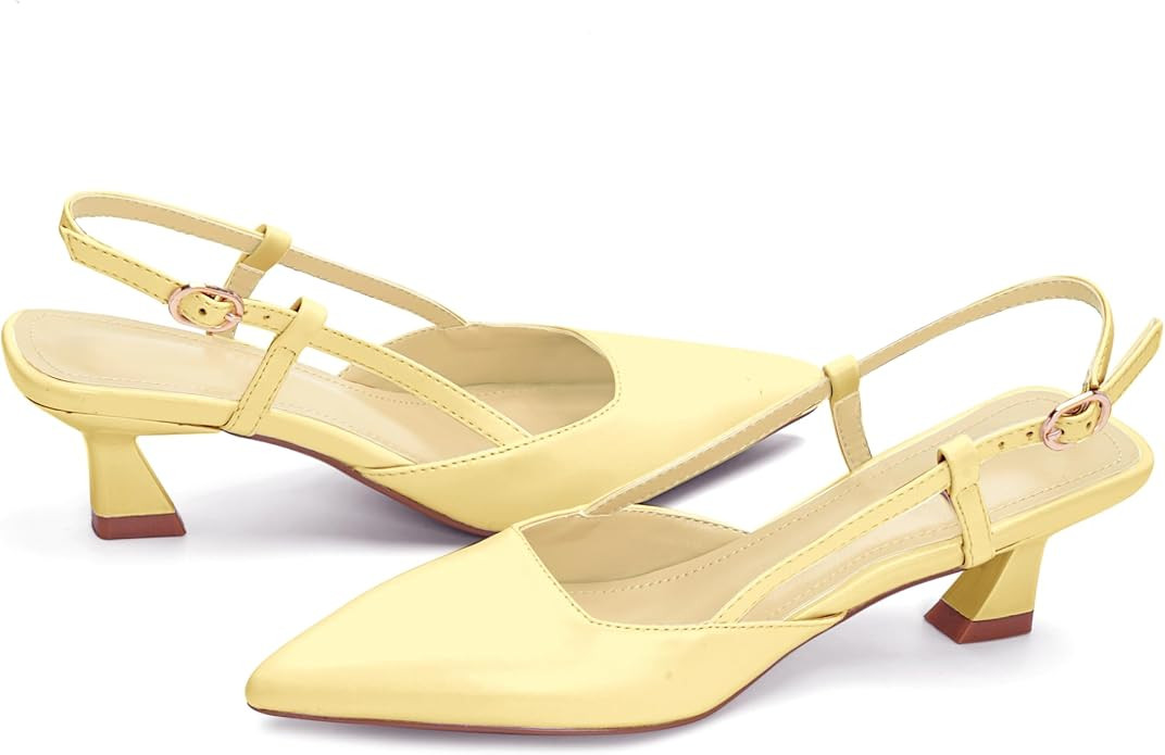 Pump Shoes Women Closed Toe Kitten Heels Pointed Toe Dressy Slingback Low Heels Sandals 2 Inch We... | Amazon (CA)