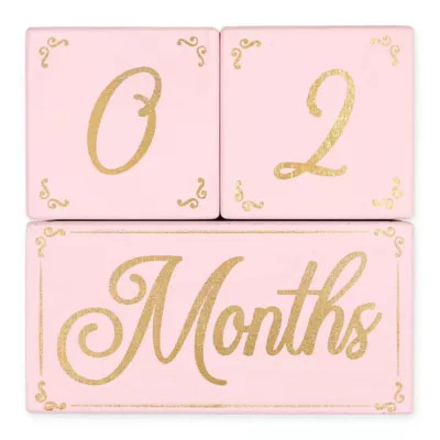 The PeanutShell™ 3-Piece Milestone Block Set in Pink/Gold | Bed Bath & Beyond | Bed Bath & Beyond