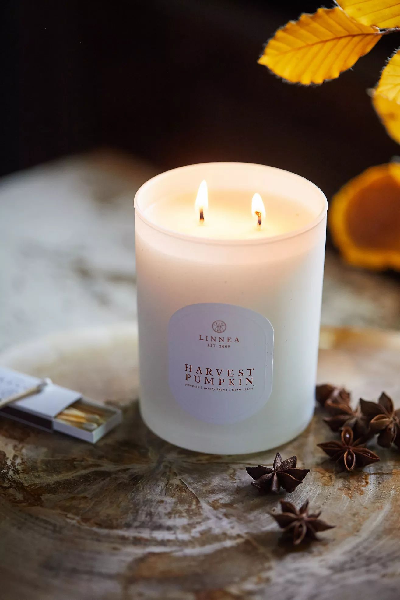 Linnea Candle, Harvest Pumpkin | Anthropologie (US)