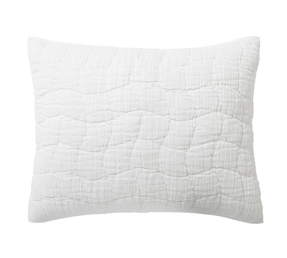 Cloud Linen Handcrafted Quilt & Shams | Pottery Barn (US)