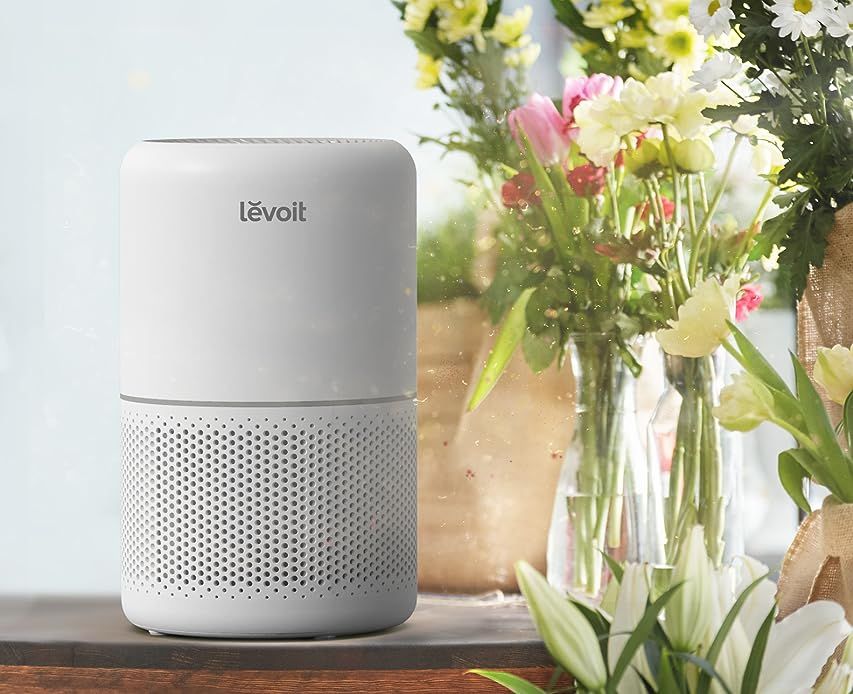 LEVOIT Air Purifier for Home Allergies Pets Hair in Bedroom, H13 True HEPA Filter, 24db Filtratio... | Amazon (US)