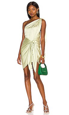 Marea Mini Dress
                    
                    Baobab | Revolve Clothing (Global)