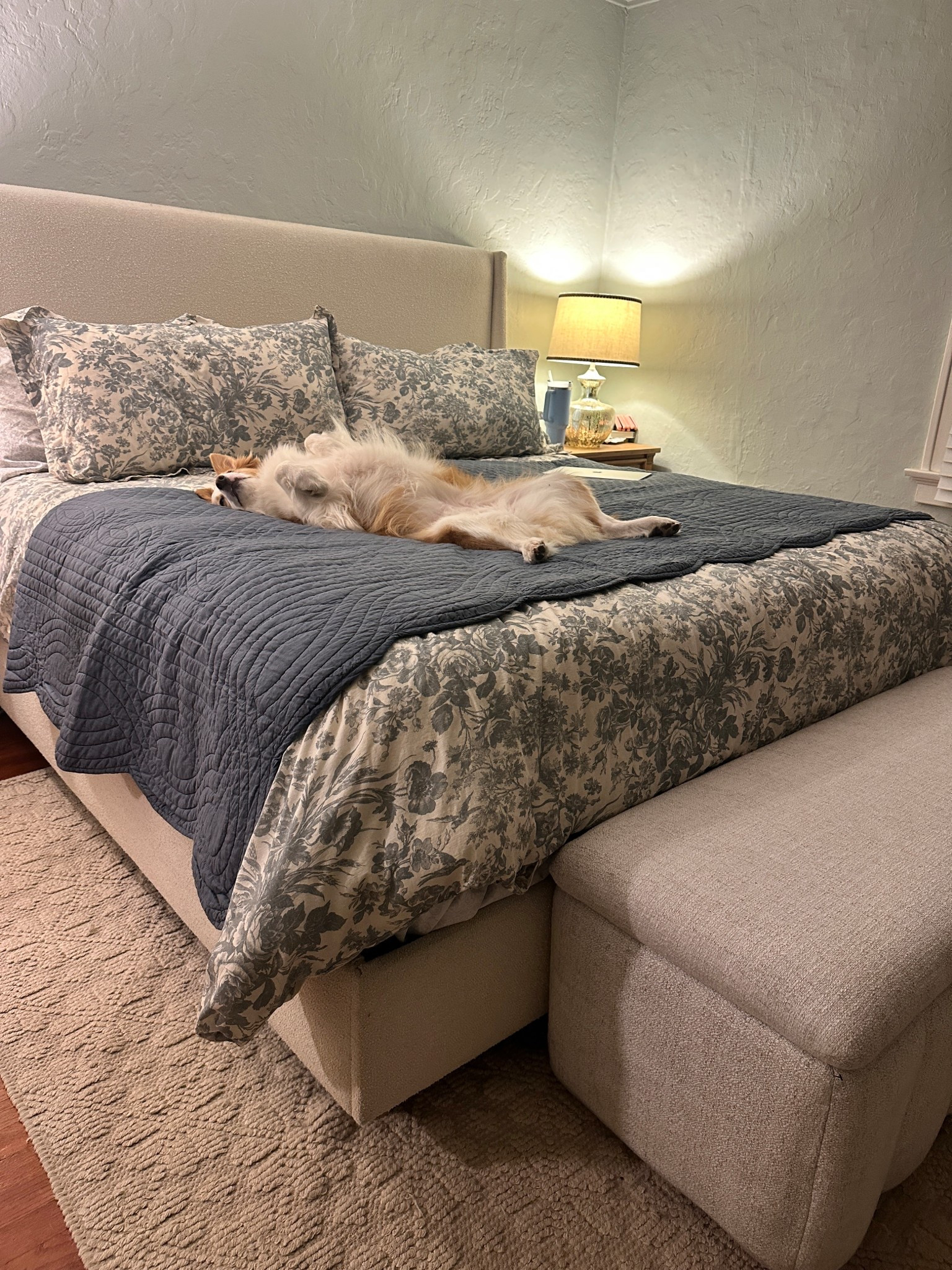 Sunday night refresh.

Master bedroom. Duvet cover. King size bedding. Blue and white duvet. Blue and white bedding. Wedding registry ideas. 

#LTKHome #LTKStyleTip