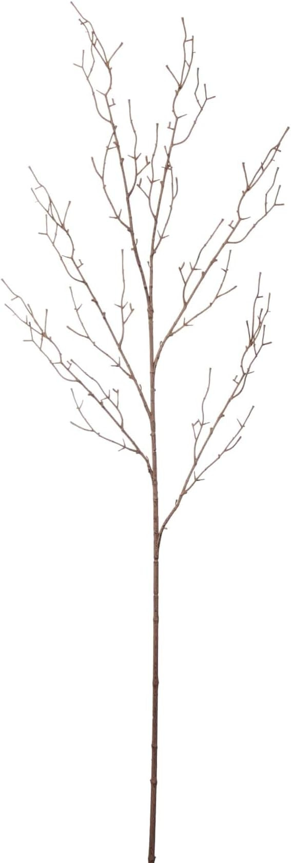 Ashland 12 Pack: Brown Twig Stem | Amazon (US)