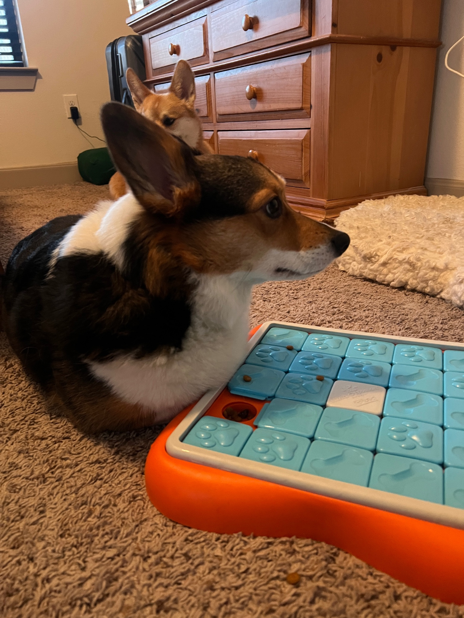 Puzzle toys for a rainy day ☔️

#LTKfindsunder50 #LTKhome