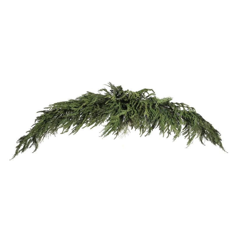 Primrue 6' Luxury Cyprus Norfolk Pine Swag | Wayfair | Wayfair North America