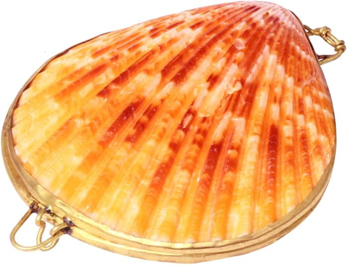 Sewroro Seashell Jewelry Box Small Shell Jewelry Holder Natural Seashell Trinket Organizer for Ho... | Amazon (US)