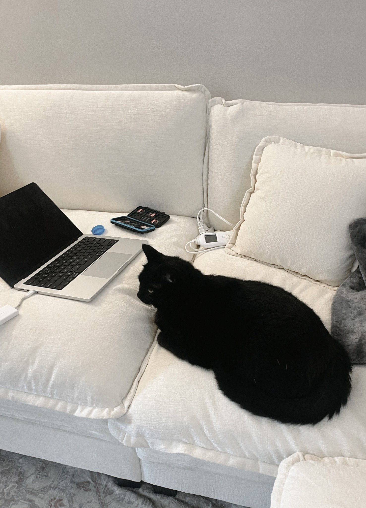 Friday night vibes on my new couch 😍

#LTKHome