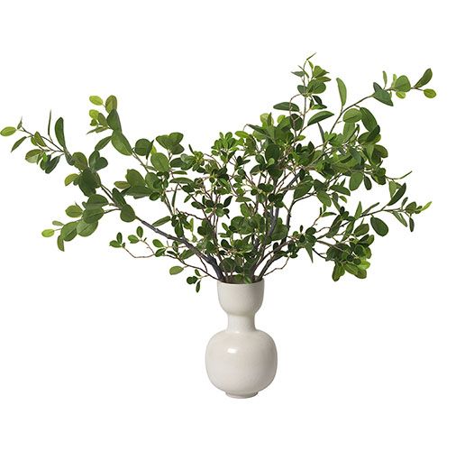 Ficus Branches in Ceramic Vase  | Diane James Home | Diane James Home