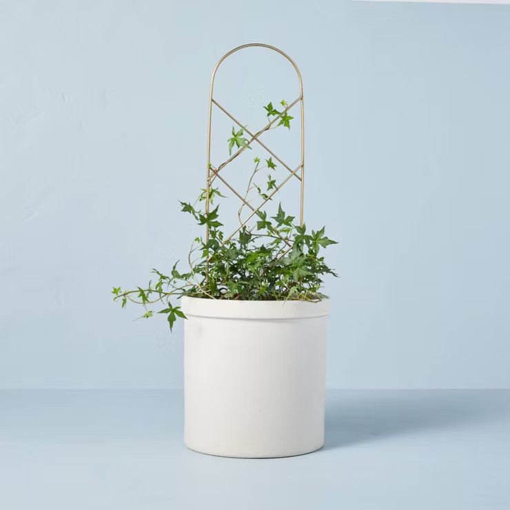 22" Metal Plant Trellis Brass Finish - Hearth & Hand™ with Magnolia | Target