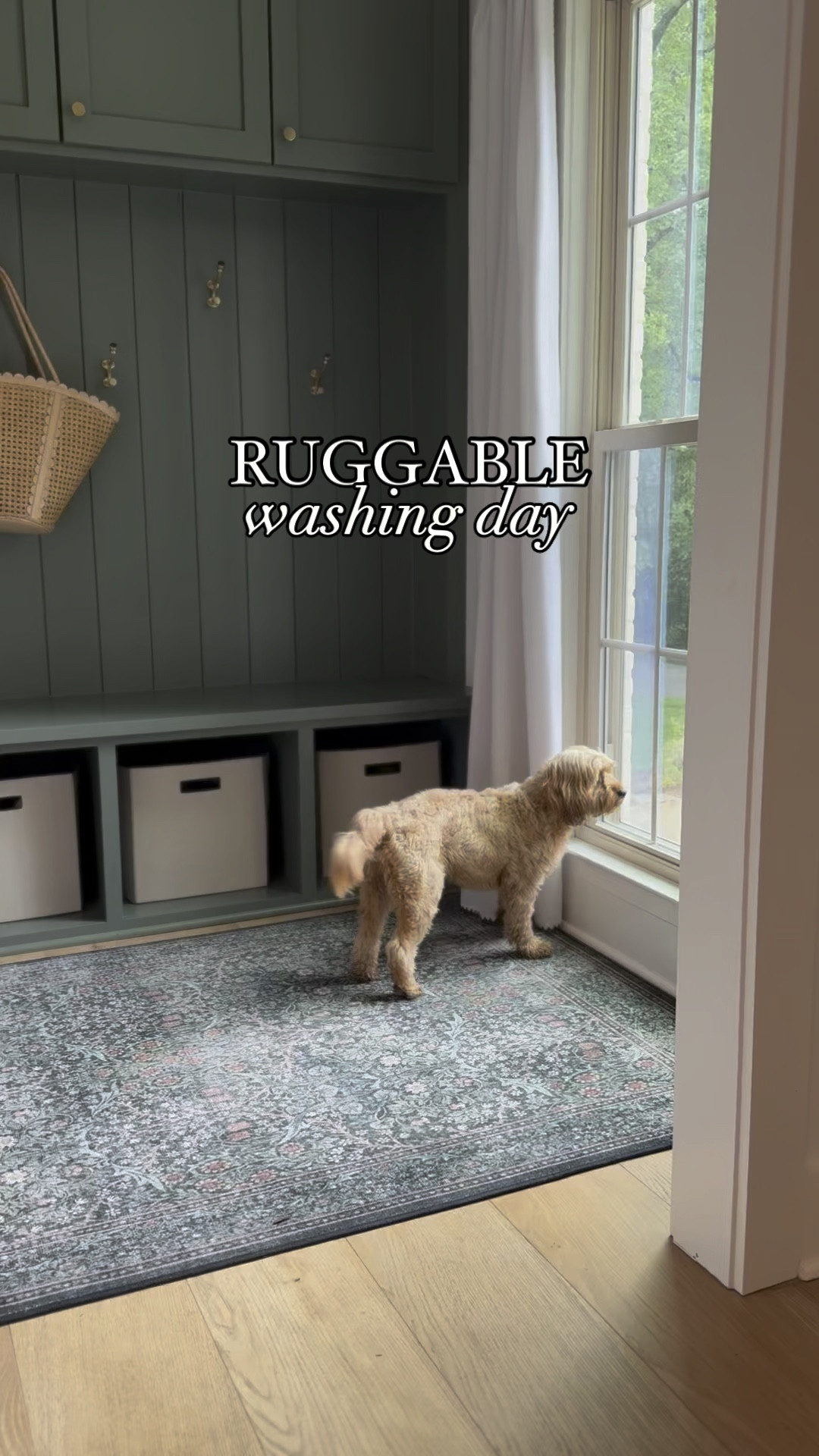 Shop everything in this video as well as my favorite picks from Ruggable rugs