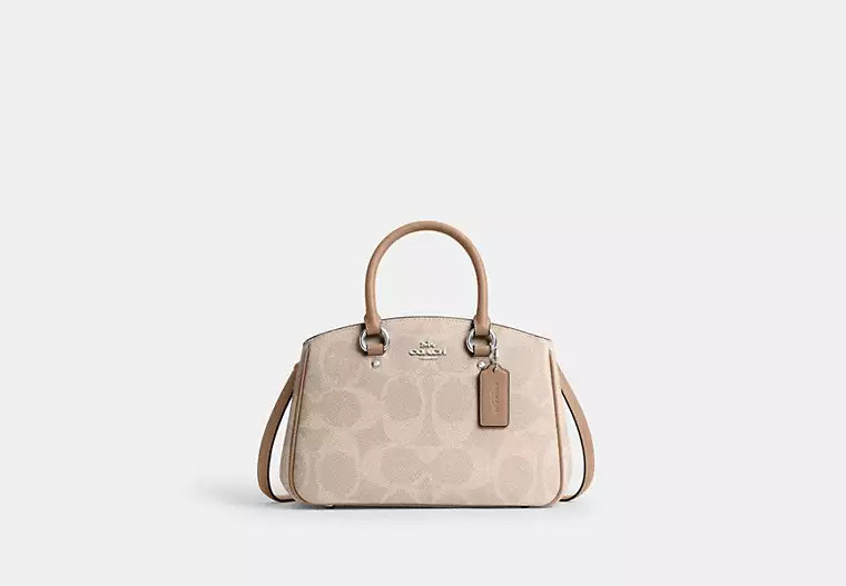 Savannah Small Carryall Bag | Coach Outlet US