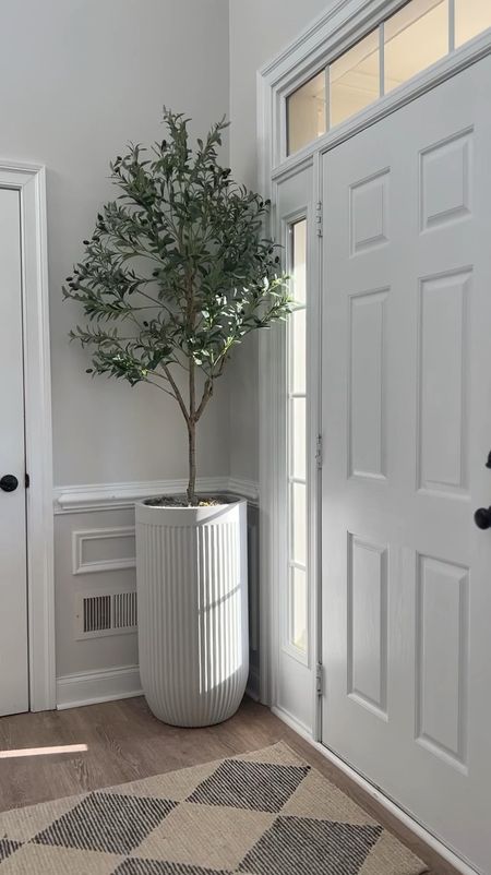 Faux olive tree and tall planter 

#LTKVideo #LTKHome