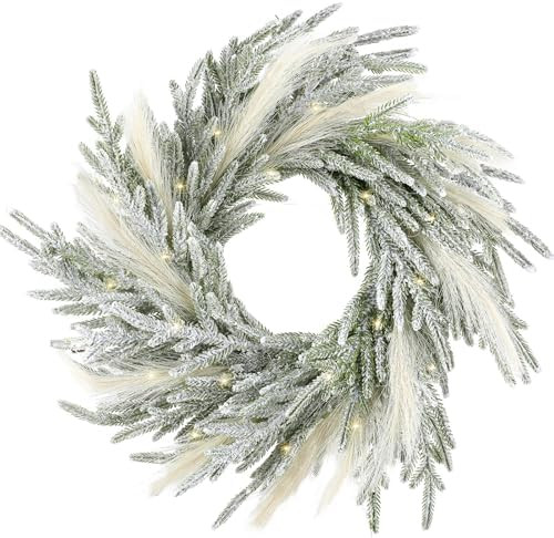 Juexica 19.7 Inch Lighted Christmas Wreaths for Front Door Flocked Norfolk Pine Wreaths with Boho... | Amazon (US)