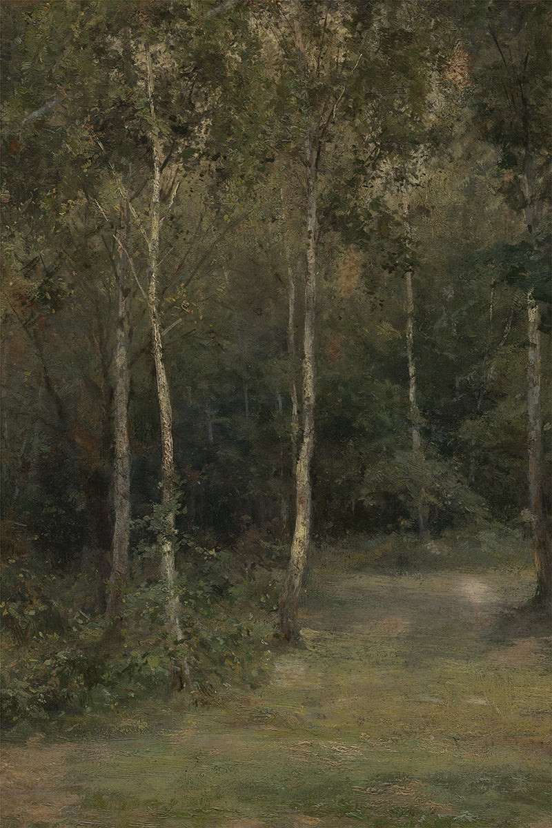 Birch Forest | Juniper Studio LLC