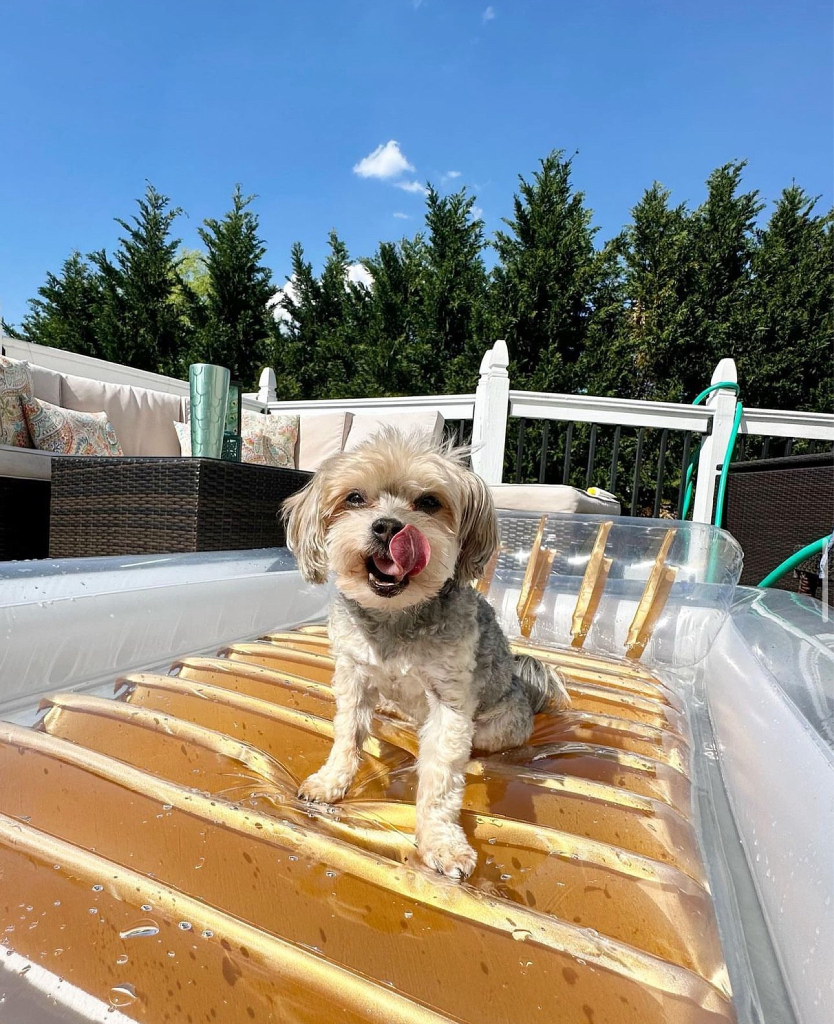 2nd year using this lounger/pool float! It is the best!! 

#LTKHome #LTKSeasonal #LTKSwim