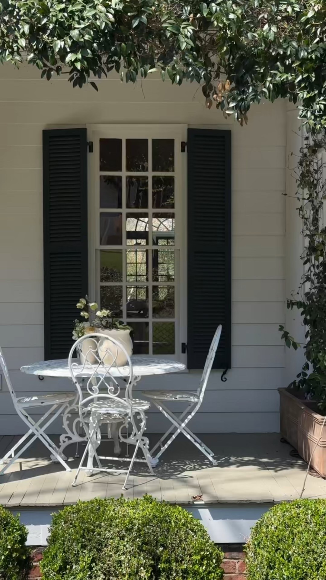 Dinner outside🍽️🍃

#LTKHome #LTKSeasonal #LTKFamily