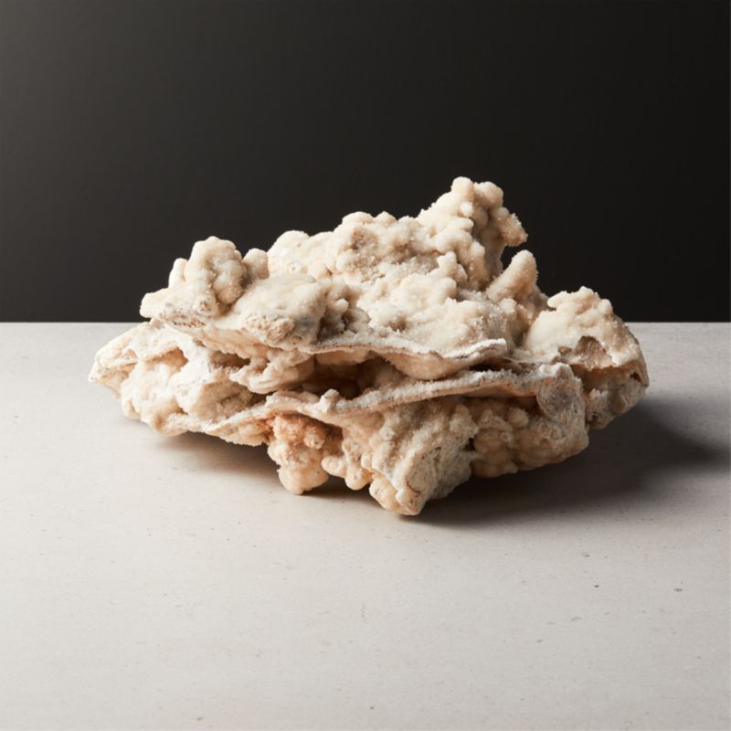 Mountain Coral Object Ivory | CB2 | CB2
