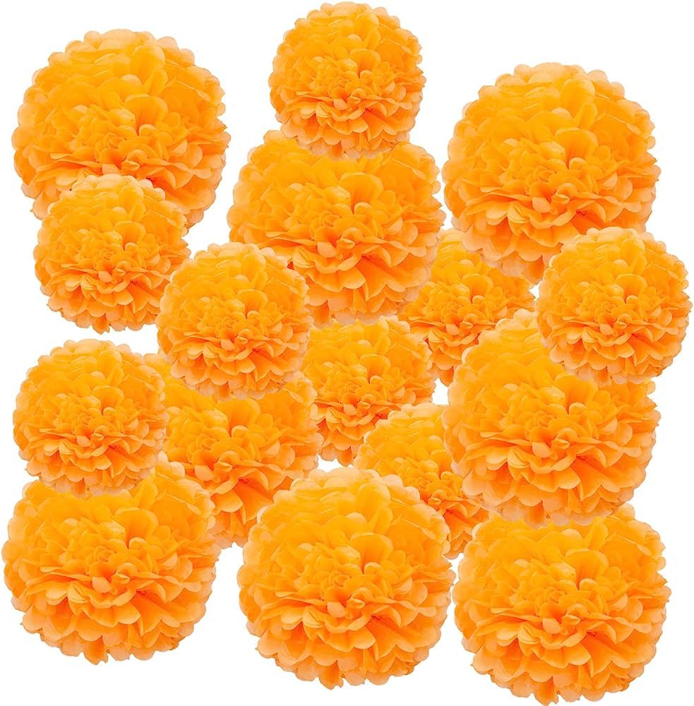 Tim&Lin Orange Paper Pom Poms - Party Tissue Paper Flowers Balls - Party Hanging Decoration Suppl... | Amazon (US)