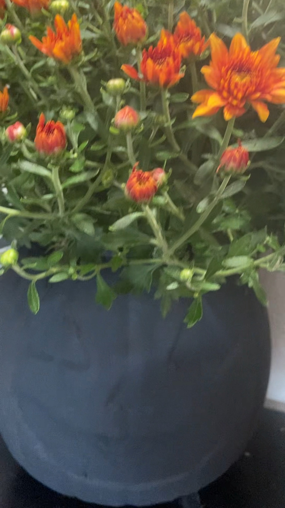 DIY Faux Pottery Pumpkin Vase!

#LTKHalloween #LTKhome #LTKSeasonal