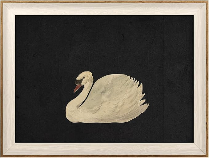 VIYYIEA Framed Wall Art for Living Room, Swan Art Canvas Prints, Vintage Home Decor, Animals Pain... | Amazon (US)