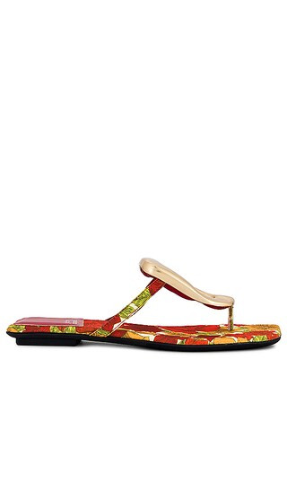 Linques-2 Sandal in Orange Multi Floral | Revolve Clothing (Global)