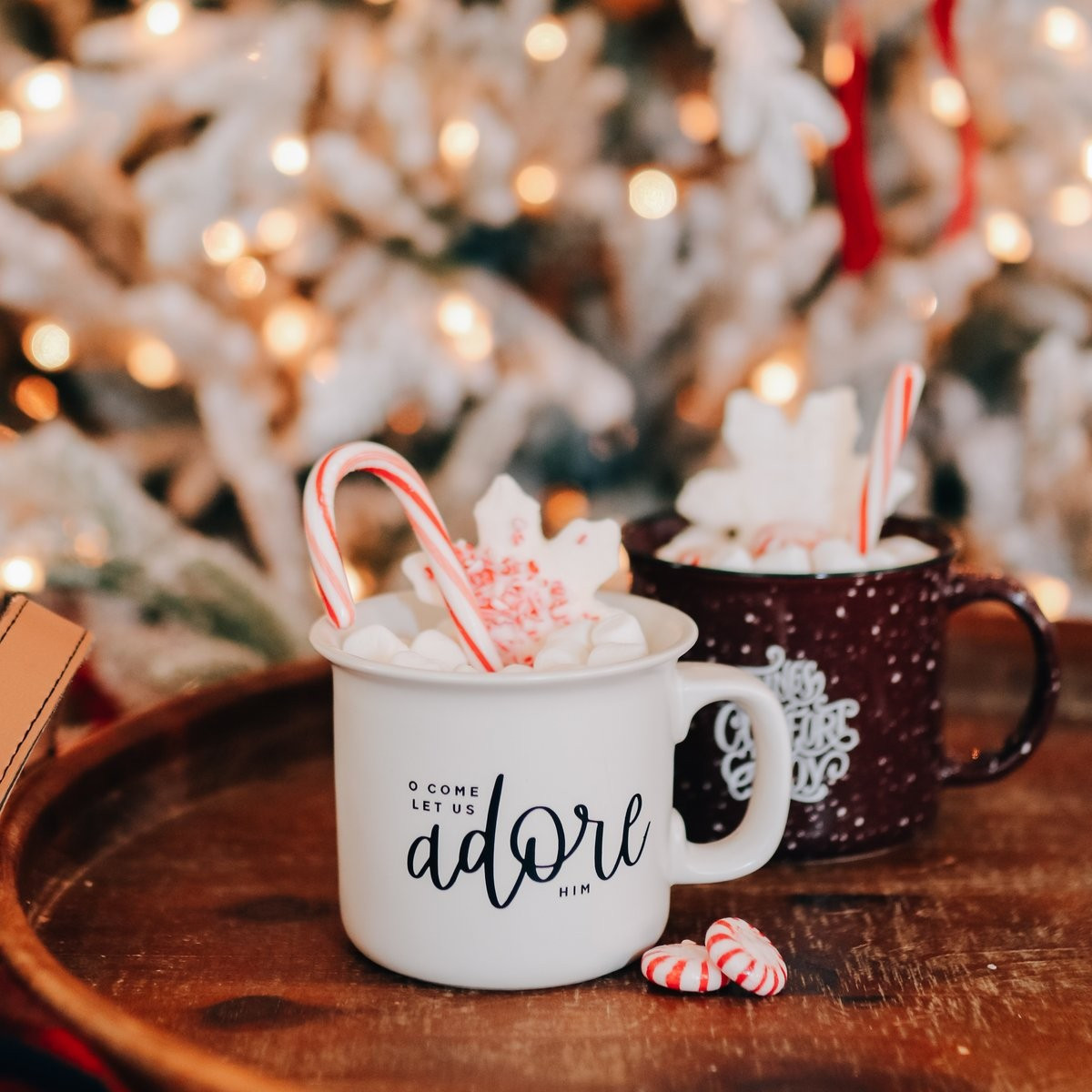 O Come Let Us Adore Him Natural Campfire Mug | The Daily Grace Co.