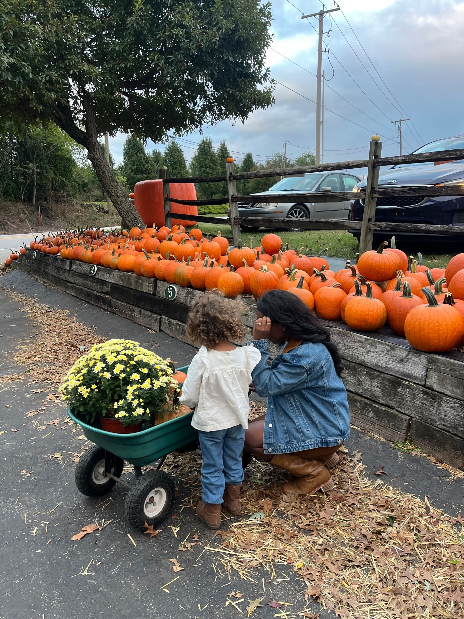 Pumpkin patch outfit
Jacket (lulus): medium
Top (lulus): medium
Skirt (lulus) : medium
Boots (Amazon): 8


#LTKStyleTip #LTKPetite #LTKSeasonal