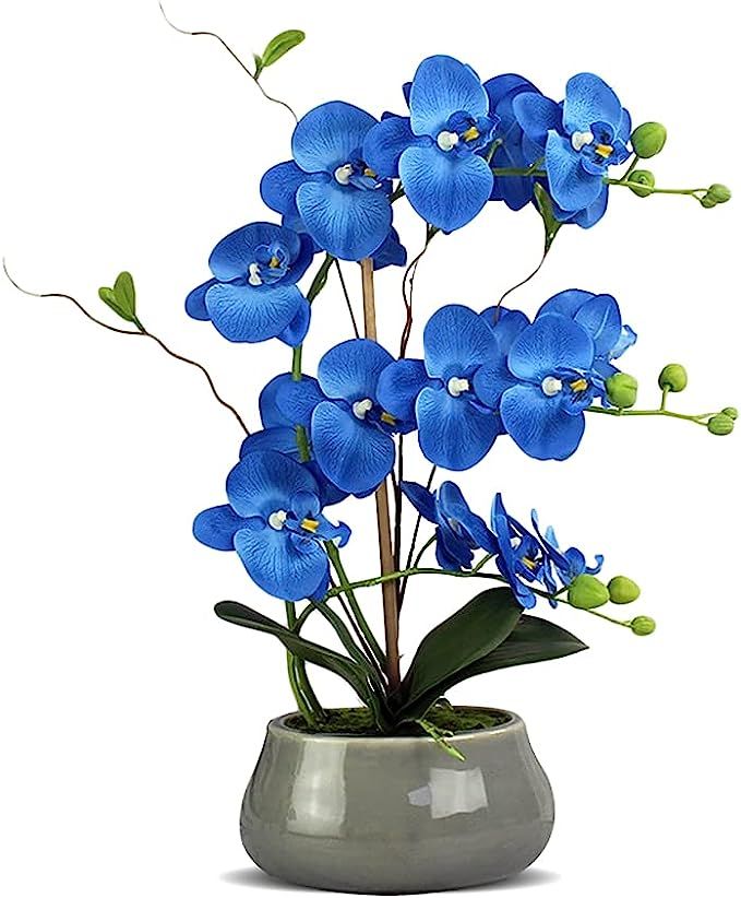 Fake Orchids Royal Blue Faux Orchid Plant Silk Orchids Plants for Home Decor Artificial Orchid Fa... | Amazon (US)