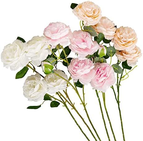 Multicolor Peonies Flowers | Amazon (US)