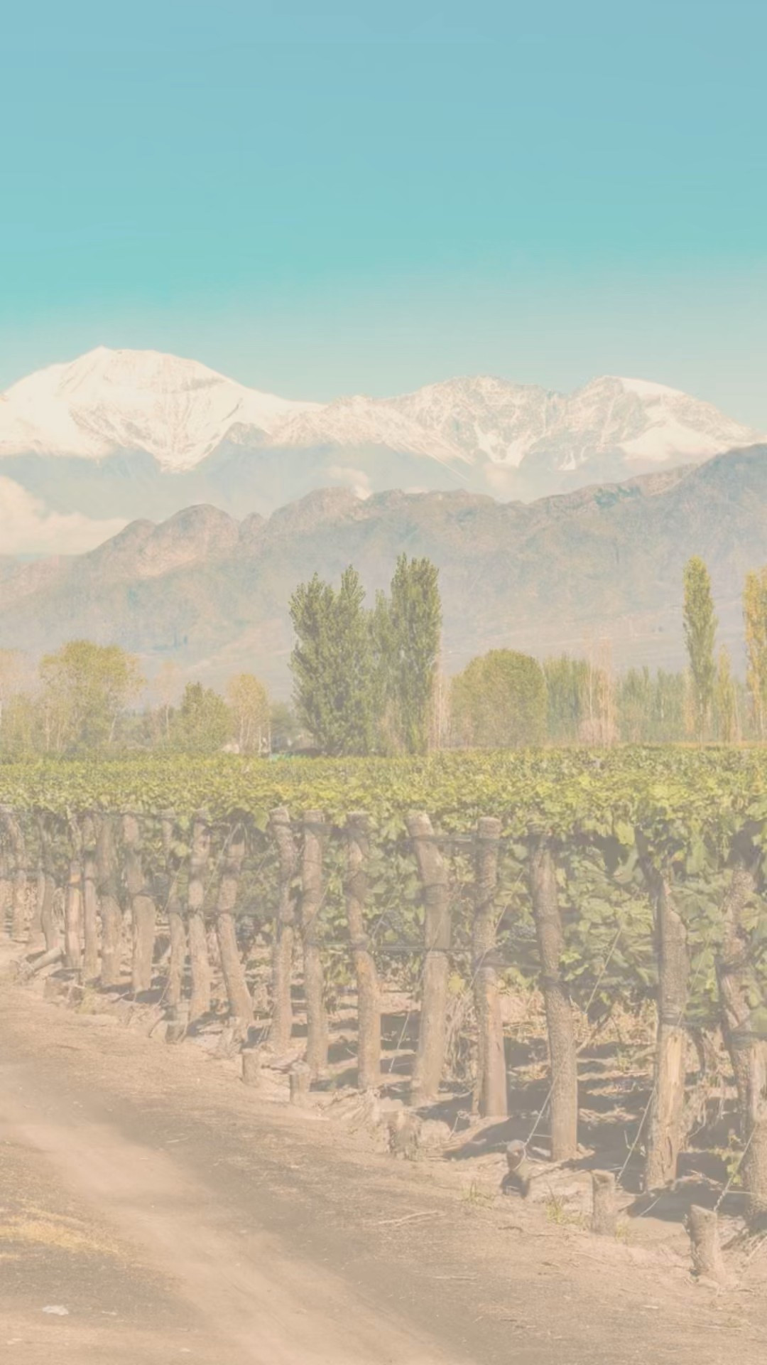 These fall tones are so delish for a fresh family look!

#LTKStyleTip #LTKSeasonal #LTKFamily