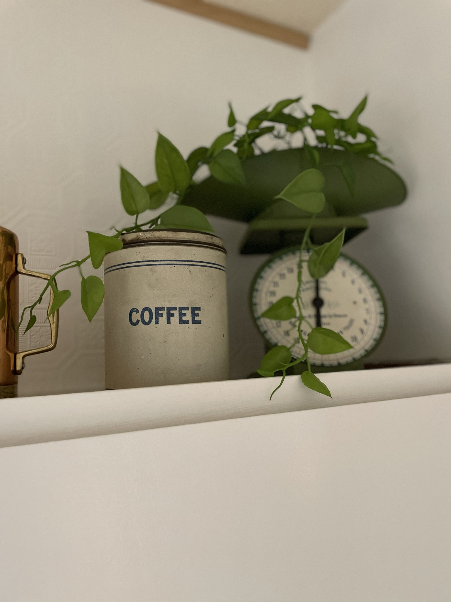 Greenery brings any space to life, adding beautiful movement and texture. 
And, you can design a space, any time of the year, with faux greenery!

#LTKfindsunder50 #LTKhome #LTKSeasonal