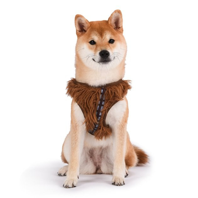 FETCH FOR PETS Star Wars Chewbacca Basic Dog Harness, Large, 19 to 29.5-in chest - Chewy.com | Chewy.com