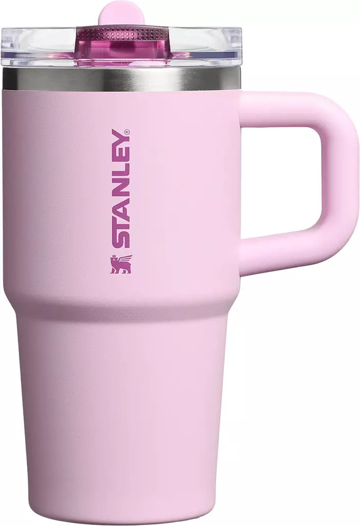 Stanley 20 oz. Quencher ProTour Flip Straw Tumbler | DICK'S Sporting Goods