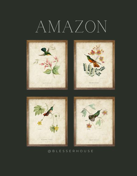How adorable are these prints?

Amazon, vintage prints, birds, humming birds, art, vintage style 

#LTKhome