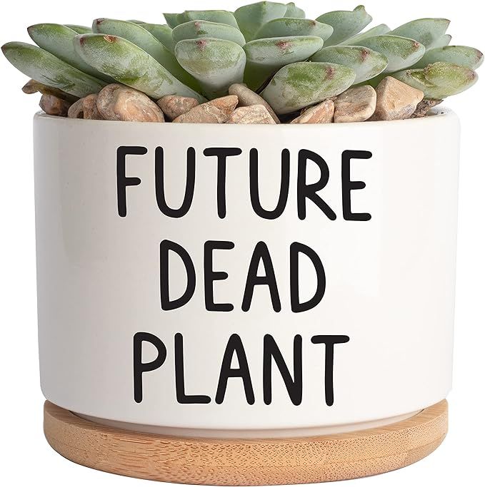 JENVIO Future Dead Plant | Ceramic Succulent Pot Plant | Cool Birthday Christmas Planter Stuff | ... | Amazon (US)